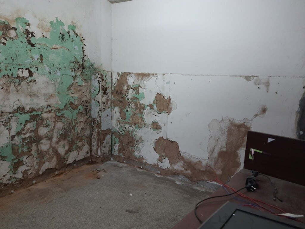 Premier Pest Solution