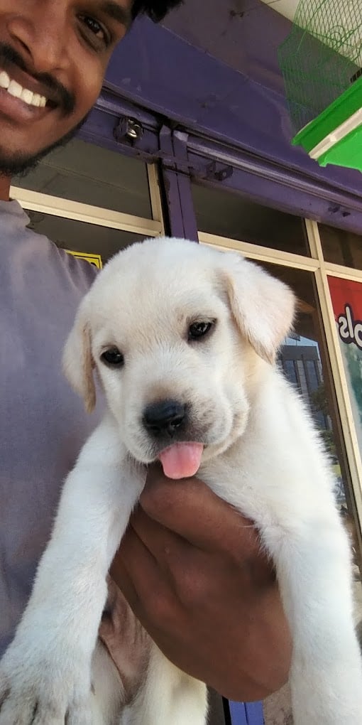 Rakk pets & aquarium - 3