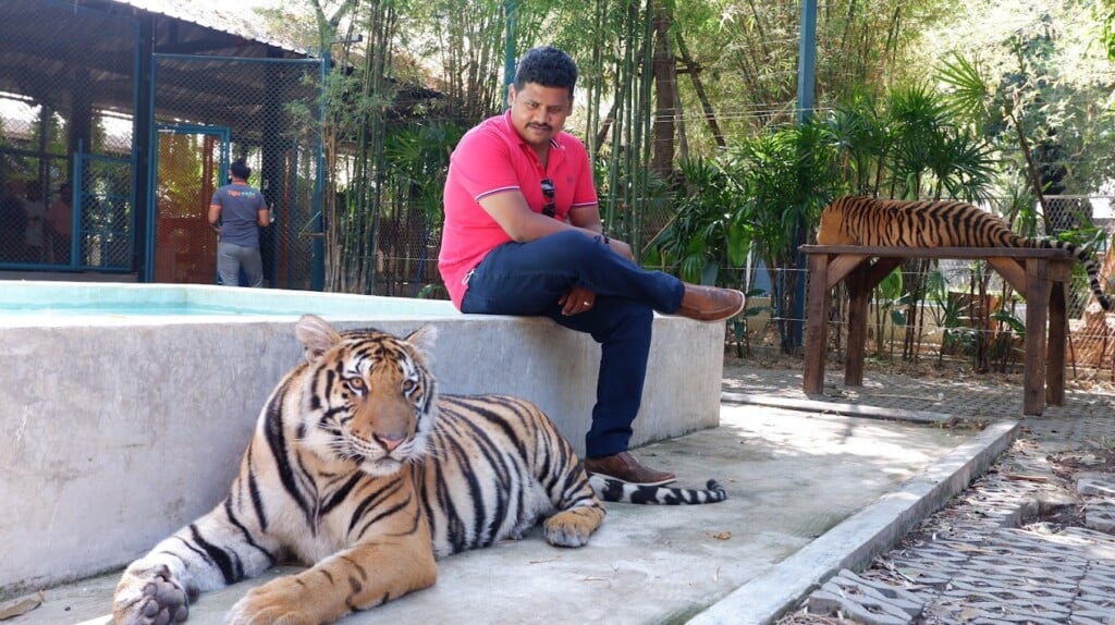 Go With Us Holidays - 3