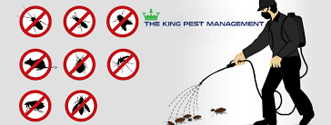 The King Pest Management pest controller - 2