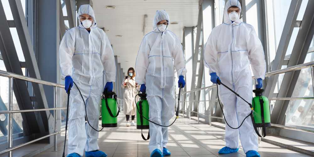 Professional pest Control