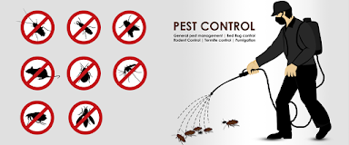 SSS Pest Control - 2