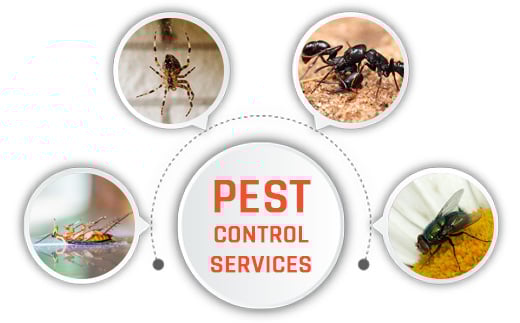 PCS Pest Control Services of India - 2