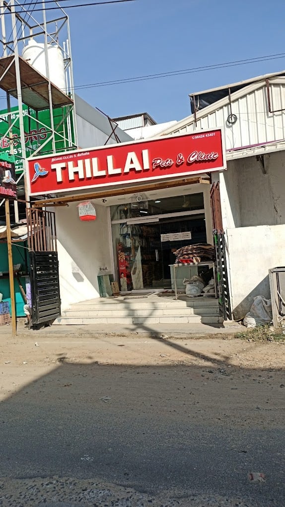 Thillai Pets & Clinic