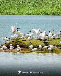 TRICHY SM TOUR & TRAVEL'S - 4