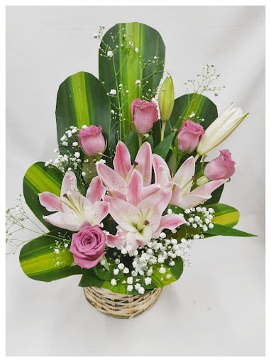 SVR Packers and Movers - 4