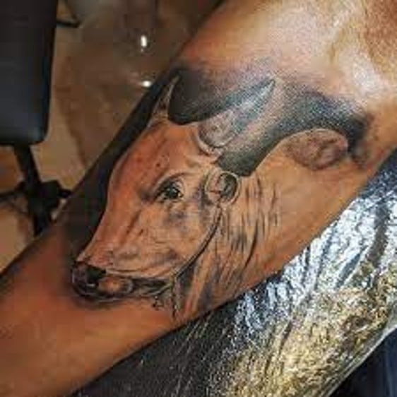 TATTOO HUNTER PY ( world class tattoo studio)