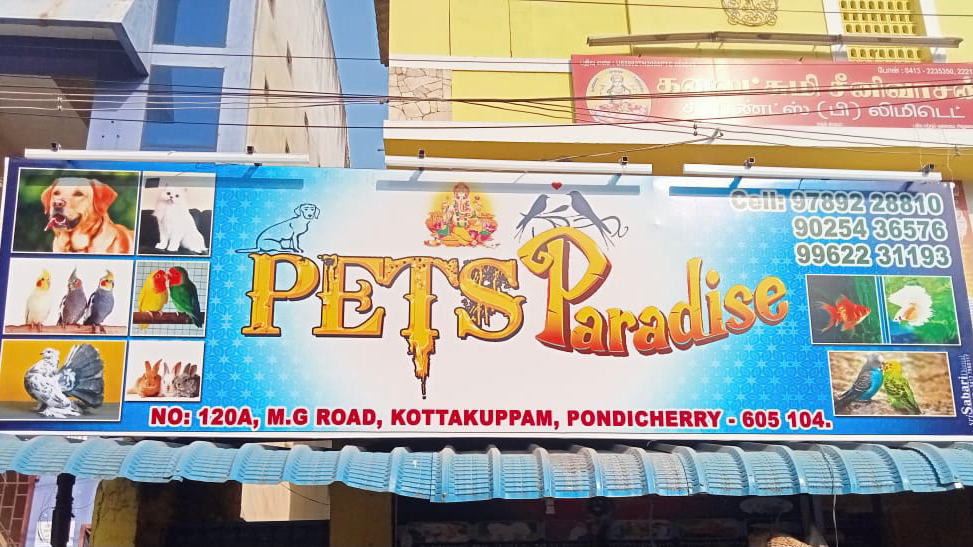 PETS PARADISE PONDY