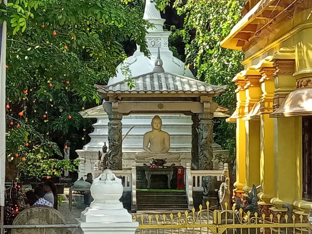 Sri Murugan Travel Agency - 5