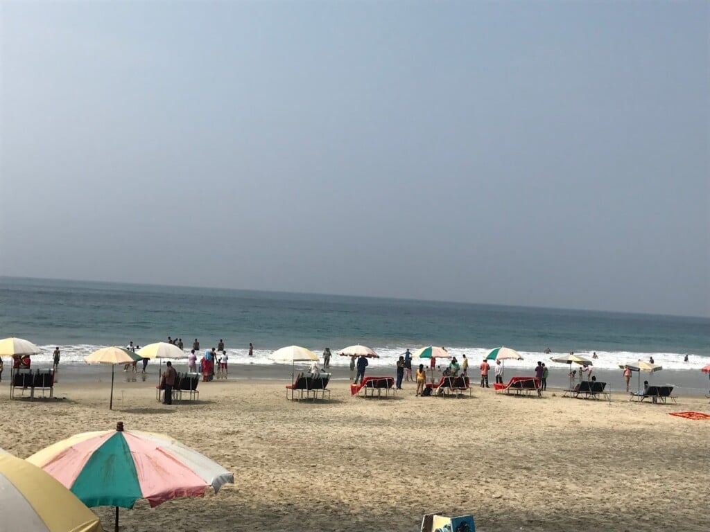 Sharvesh Tours and Travels