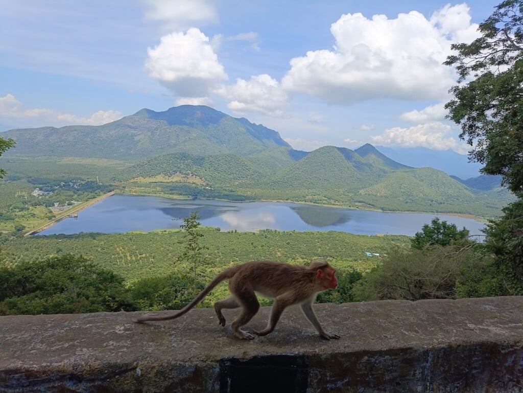 Sharvesh Tours and Travels - 3