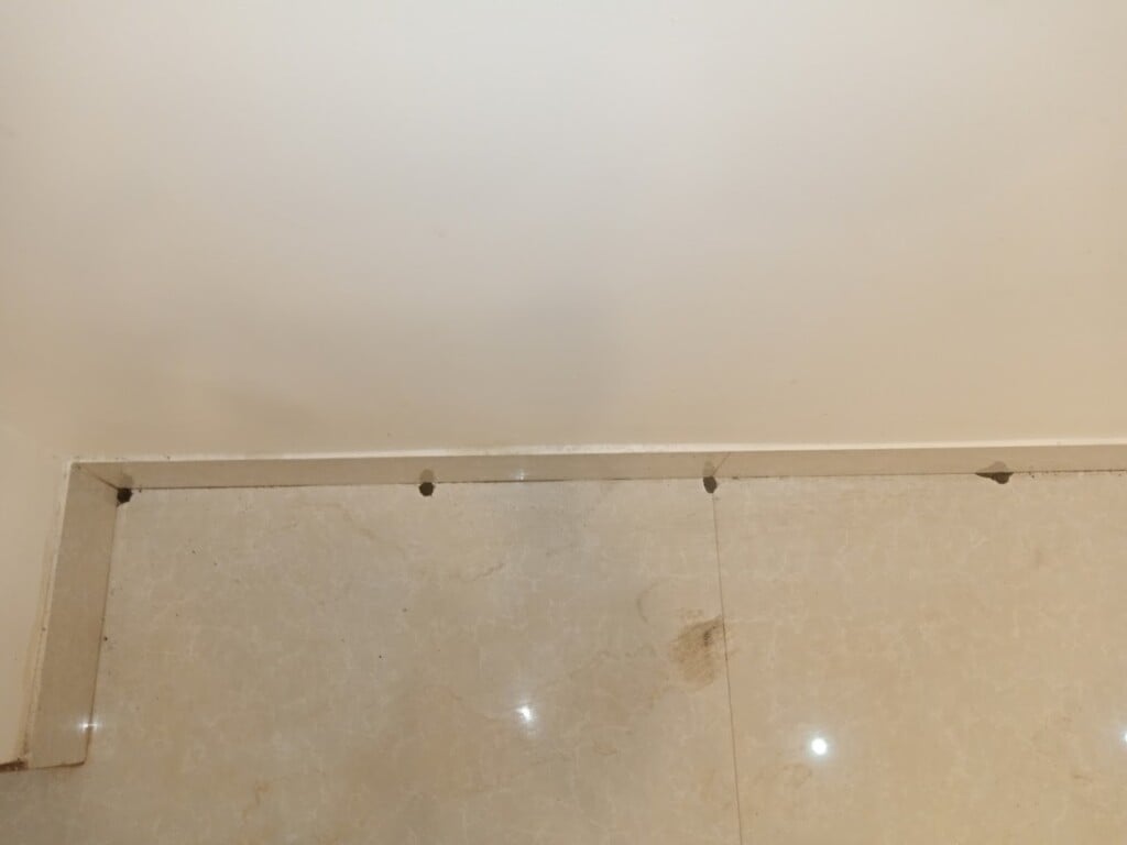 Elite Pest Control Services - 3