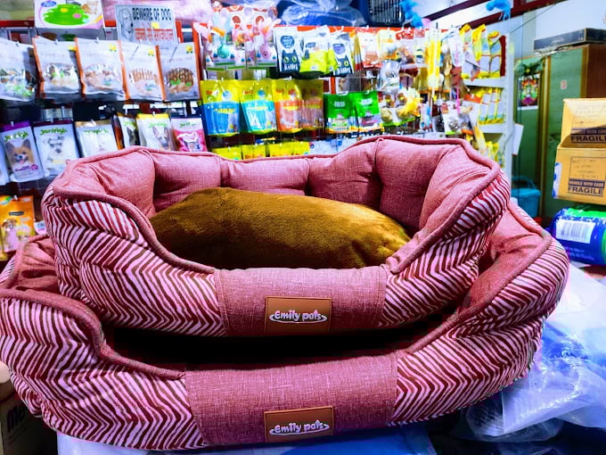 KRV Pest Control Services in Madurai | Best Residential and Commercial Pest Control in Madurai - 3