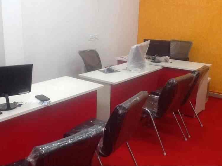 Dolphin Holidays - 1