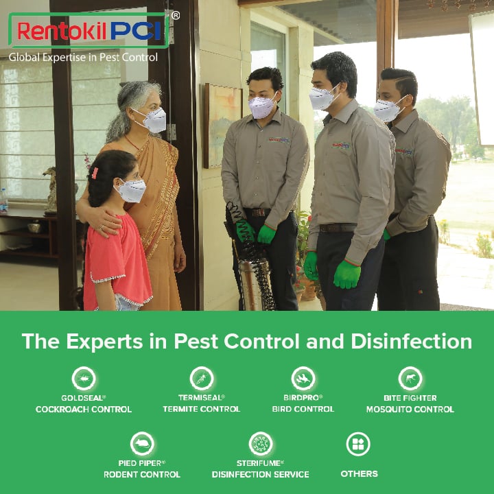 Rentokil PCI Pest Control Service Kanchipuram - 3