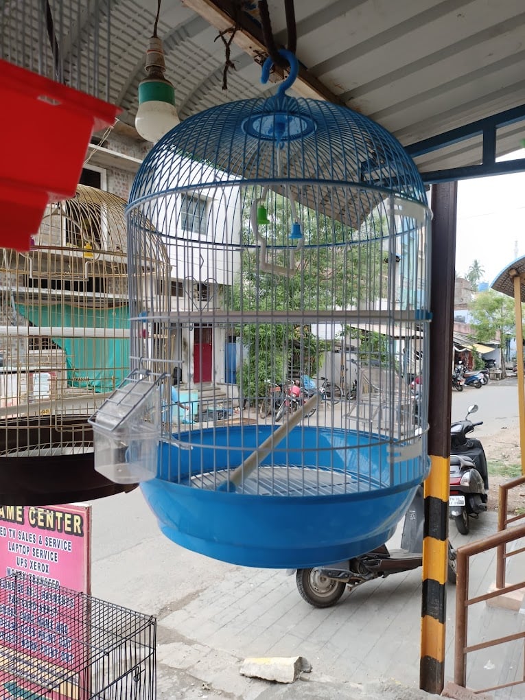 J.K.PETS AND AQUARIUM - 3