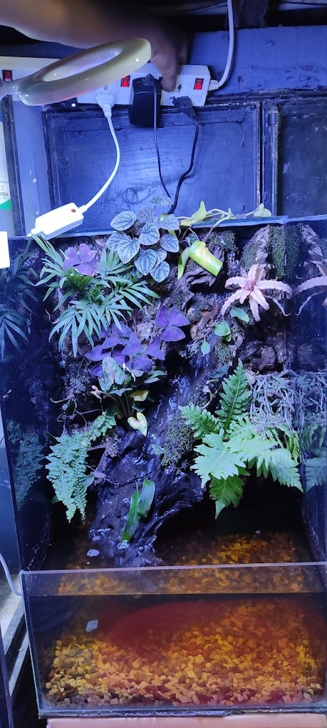 Love Pets Shop and Aquarium Salem - 3