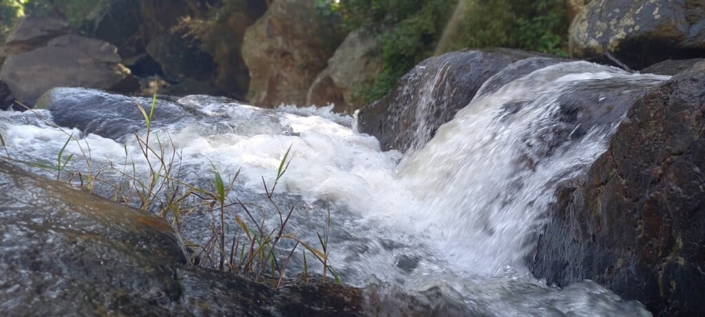 Abinaya Travels & Tours - 3