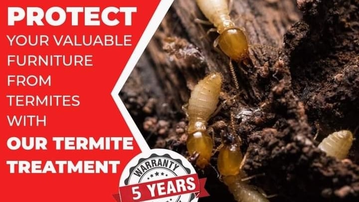 FREEDOM PEST CONTROL SERVICE - 3