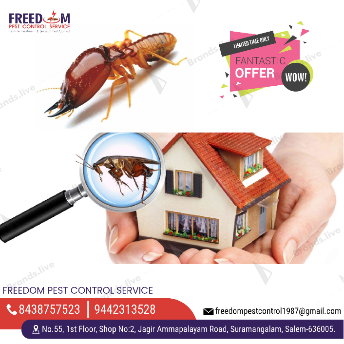 FREEDOM PEST CONTROL SERVICE