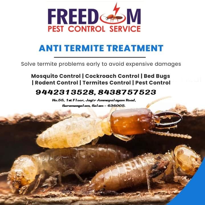 FREEDOM PEST CONTROL SERVICE - 4
