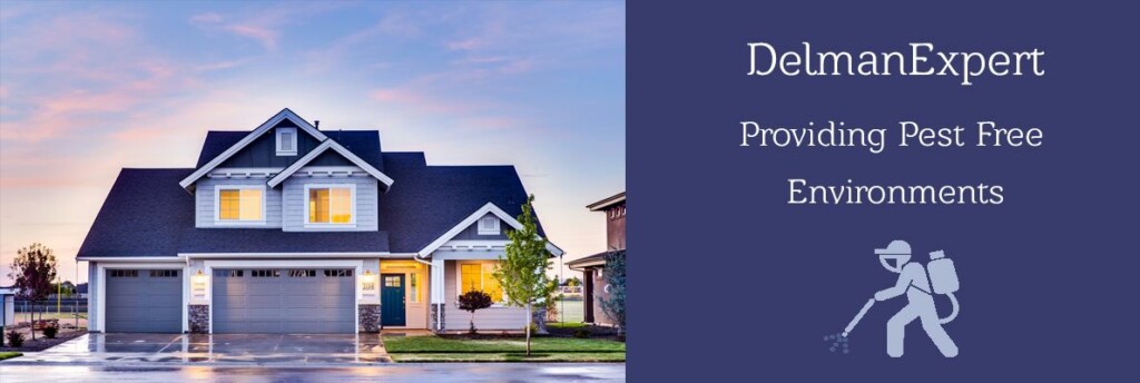 DelmanExpert Pest Control Salem - 5