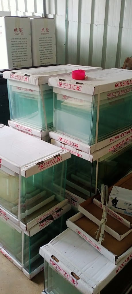 Rainbow Aquarium and Pets (Birds Shop/ Aquarium/Pets Food) - 3