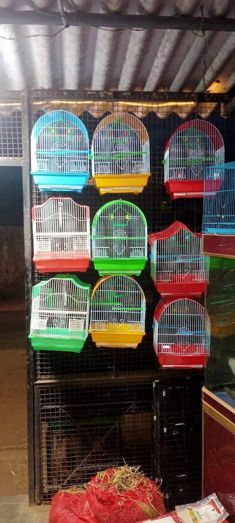 Rainbow Aquarium and Pets (Birds Shop/ Aquarium/Pets Food) - 4