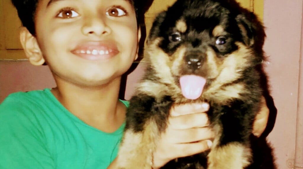 AR Pets and Kennel - 3