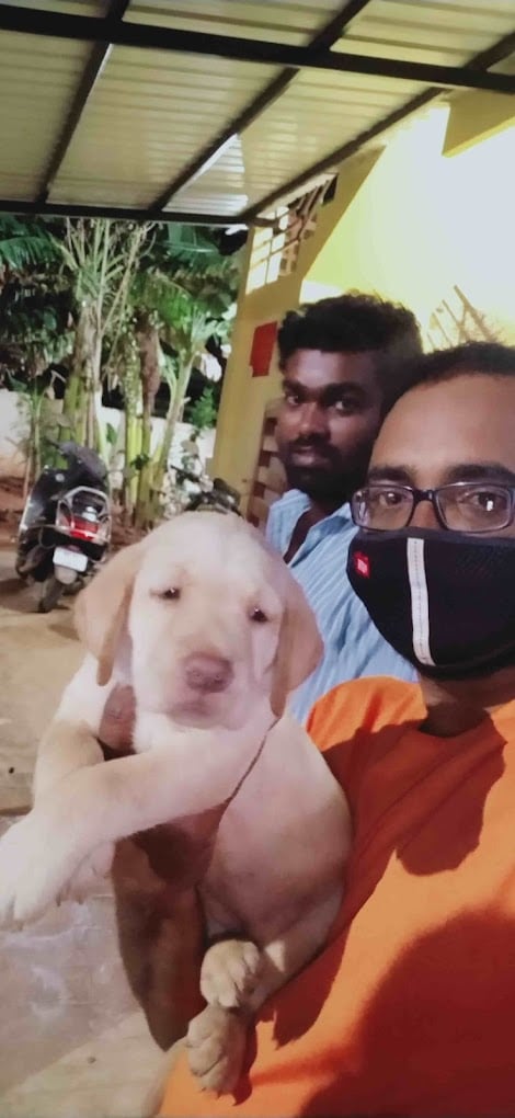 AR Pets and Kennel - 4