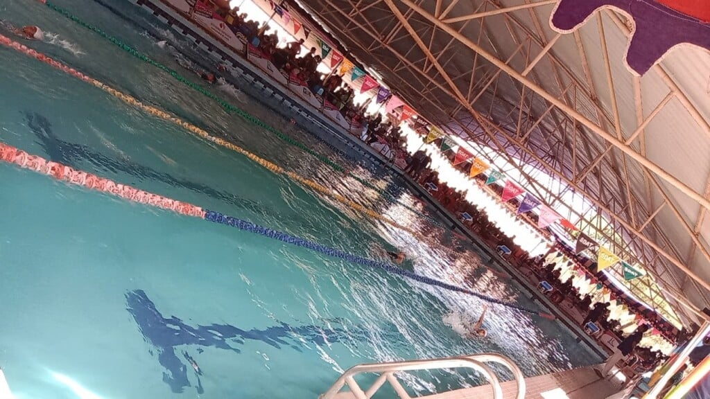 Swimming Pool, Anna Stadium - 3