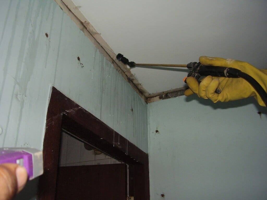 NELLAI PEST CONTROL - 5