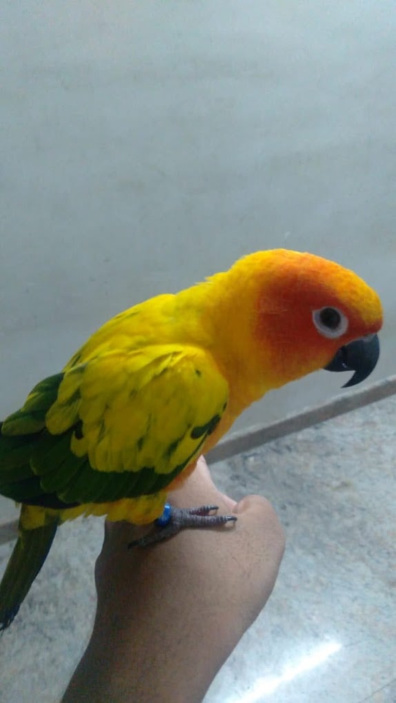 MUTHU AQUARIUM & PET'S - 3