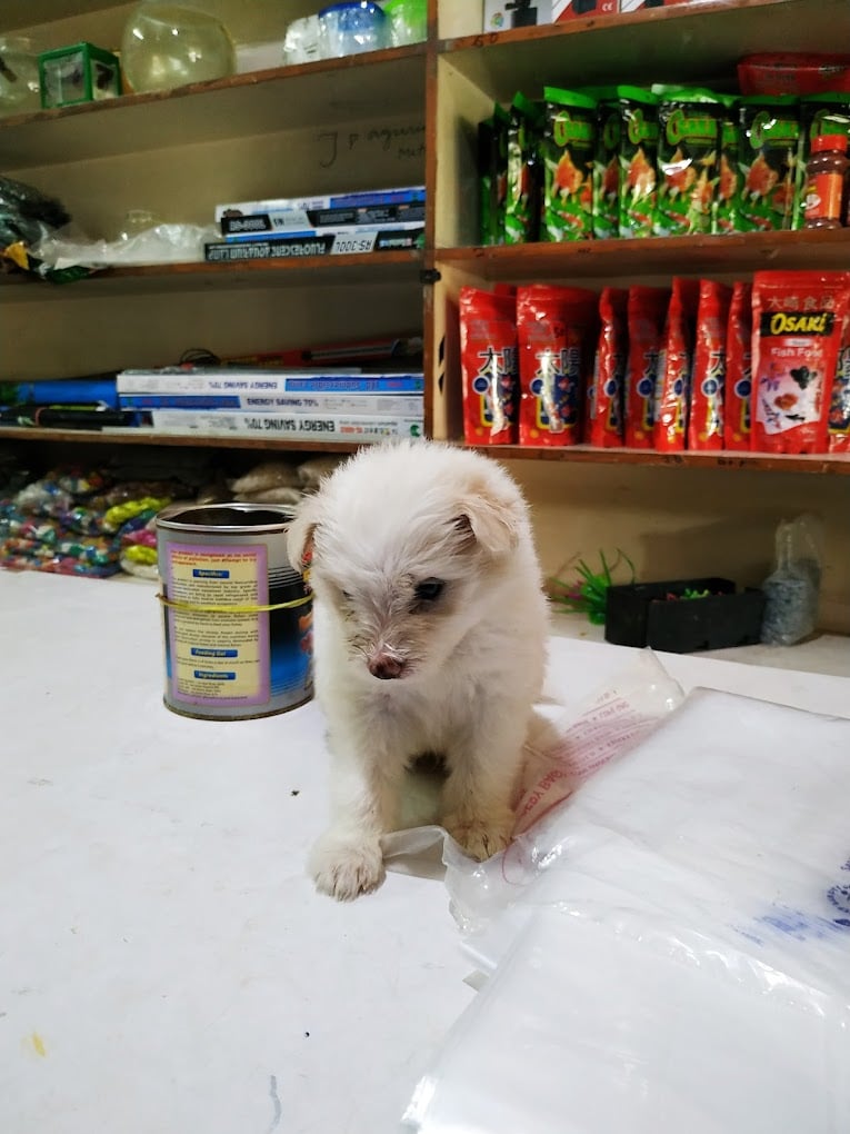 MUTHU AQUARIUM & PET'S - 4