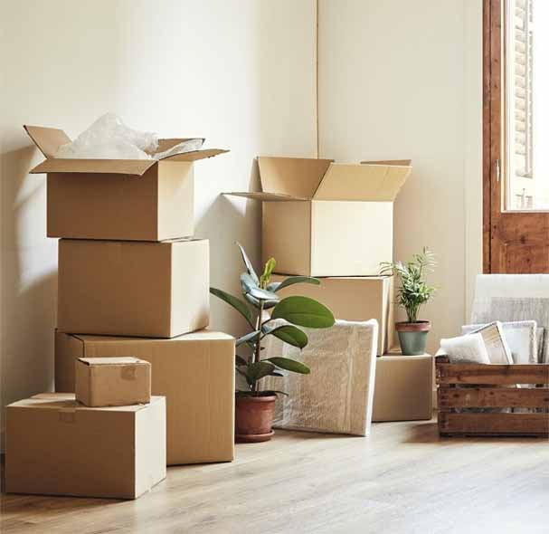 Rajali Packers And Movers - 4
