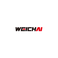 Weichai India
