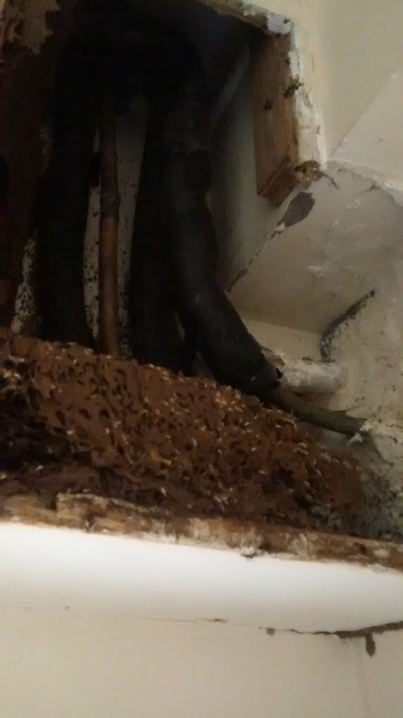 Pest Control Integrated Management - 3