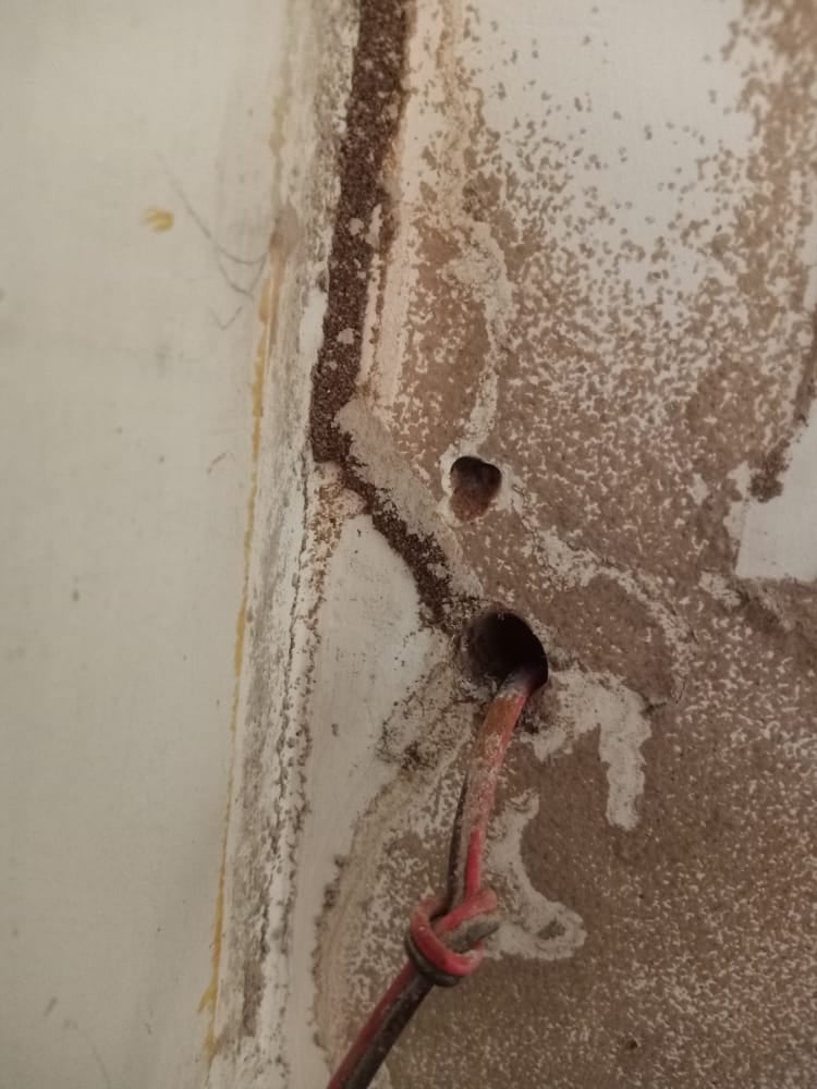 Pest Control Integrated Management - 4