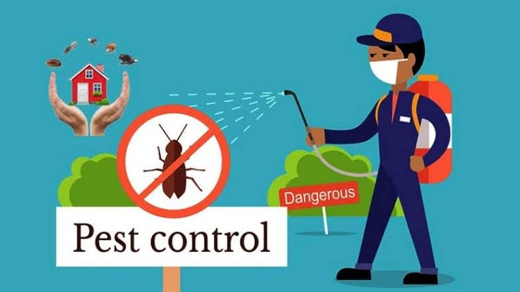 Asian pest control service - 3