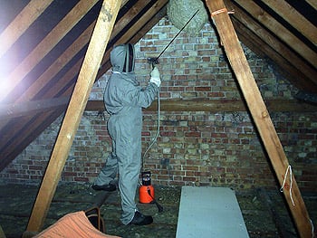 Asian pest control service - 5