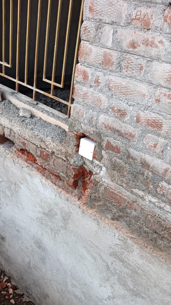 Indian Pest Control Solution - 4