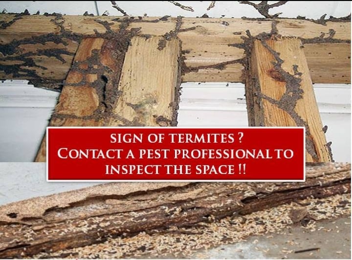 Oneland Global Solutions Pvt Ltd - 2