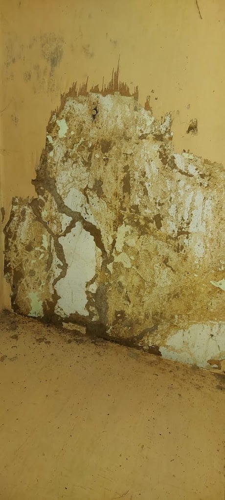 Oneland Global Solutions Pvt Ltd - 4