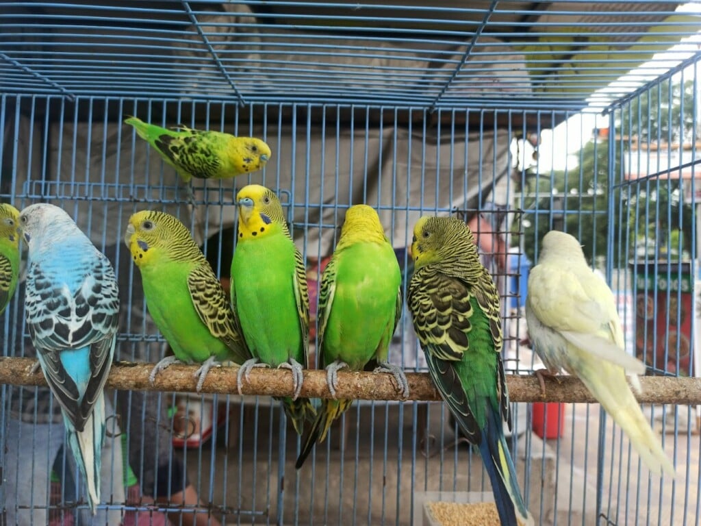 A to Z Small Pet Home - 2