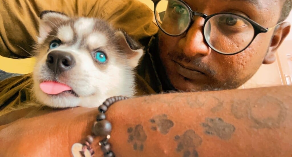 Robin's Pets World - 4