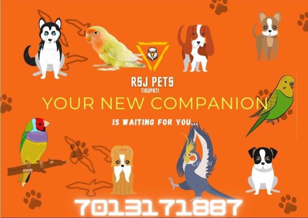 RSJ Pets Tirupati
