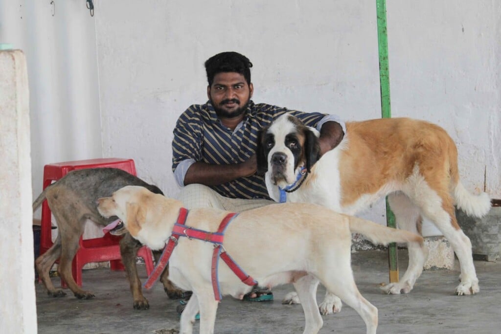 Sree Revuri Pets farm - 5