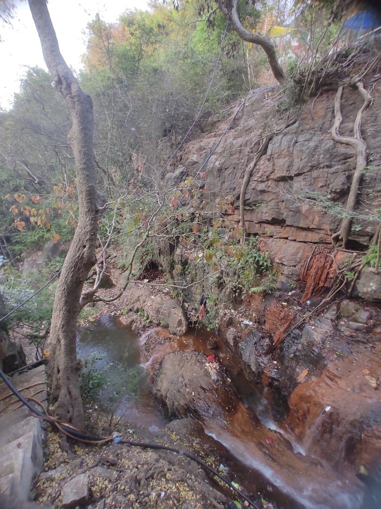 TIRUPATI TIRUMALA TOURS AND TRAVELS - 4