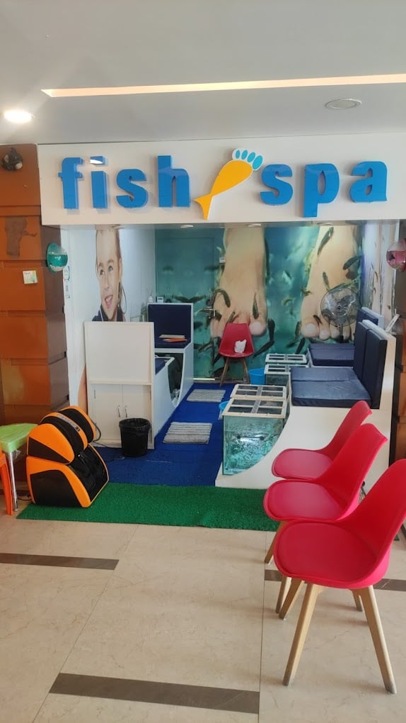 MSR Fish Spa - 4