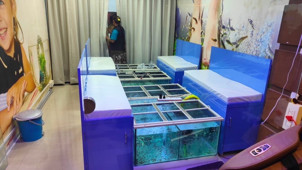 MSR Fish Spa - 5